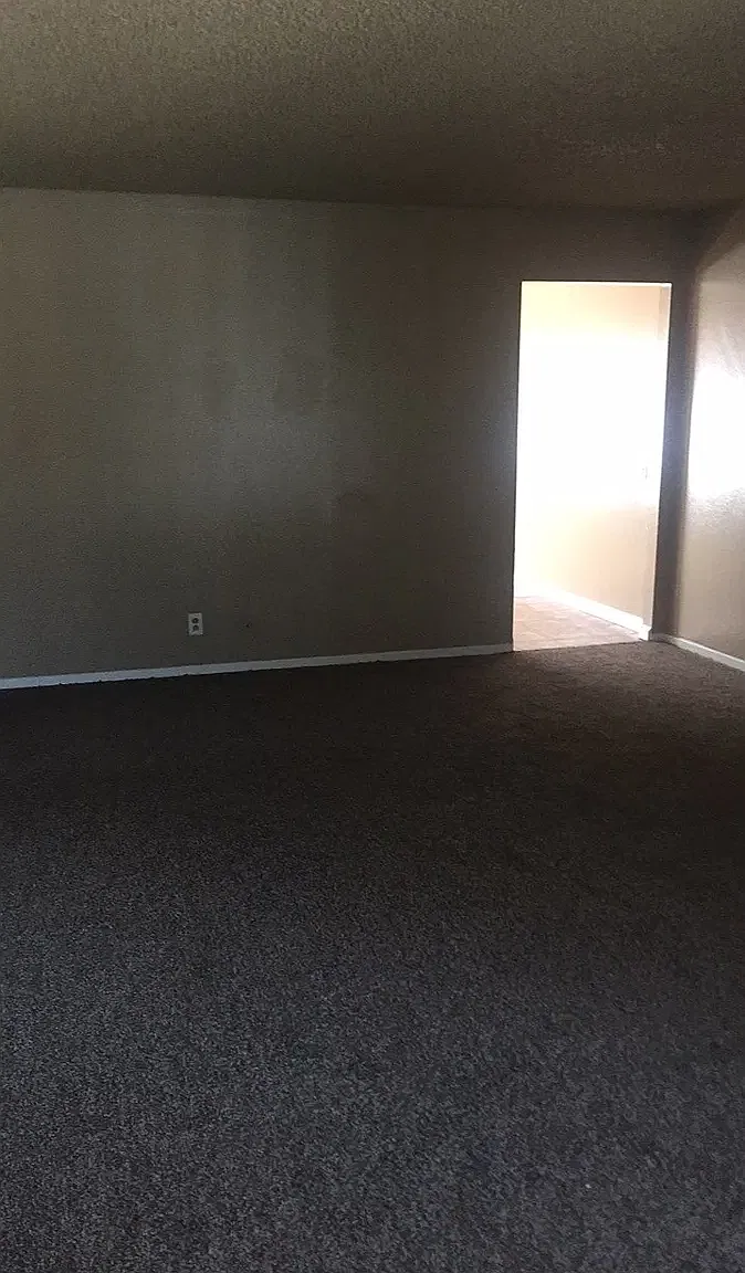 1 bed, $1,100 — Photo 1