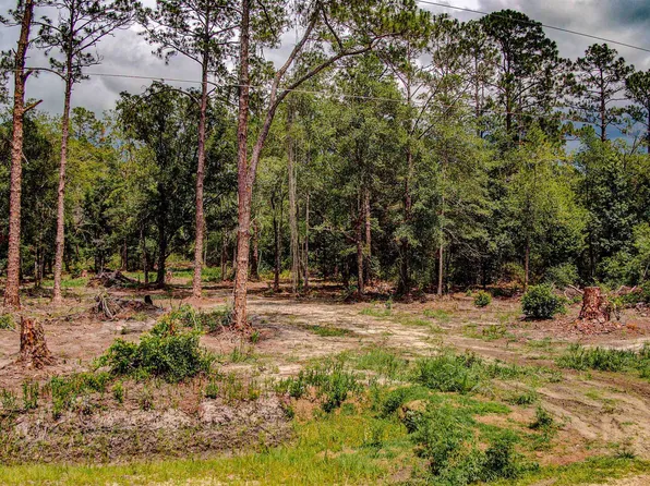 10150 Delgado Ave, Hastings, FL 32145