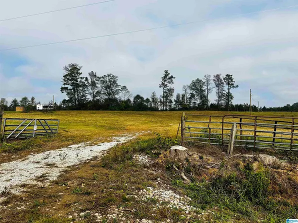 1721 McVey Rd #0, Lineville, AL 36266