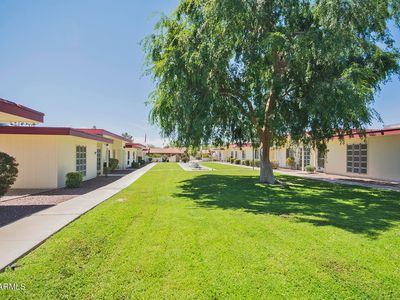 10020 W Royal Oak Rd APT F, Sun City, AZ, 85351
