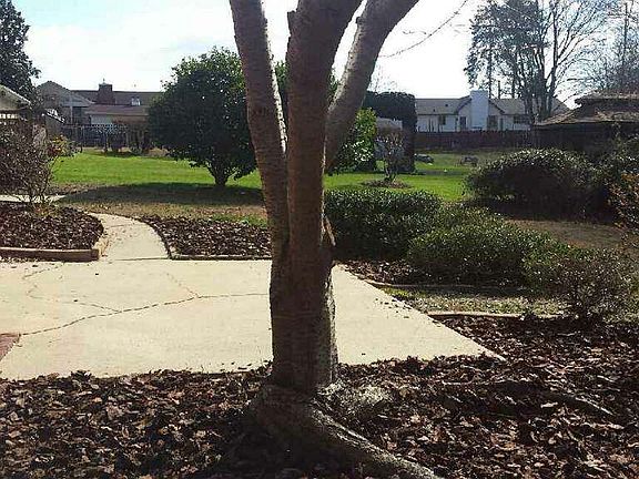 3rd image of 127 W Forest Dr