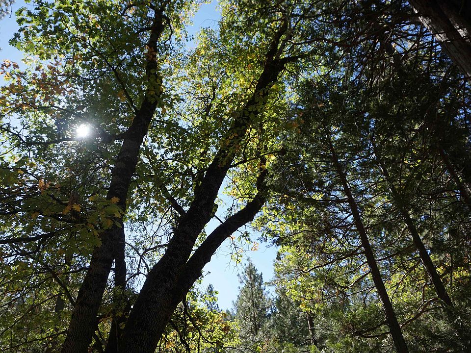 1222 Quincy La Porte Rd, East Quincy, CA 95971 Zillow