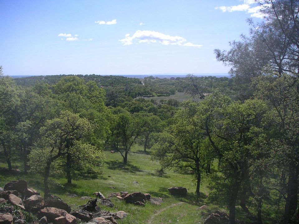 2nd image of 7784 Walsh Ln