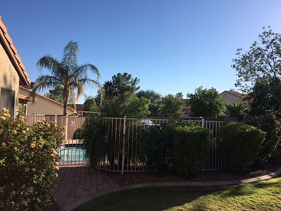 Side Yard- Includes Mature orange and grapefruit