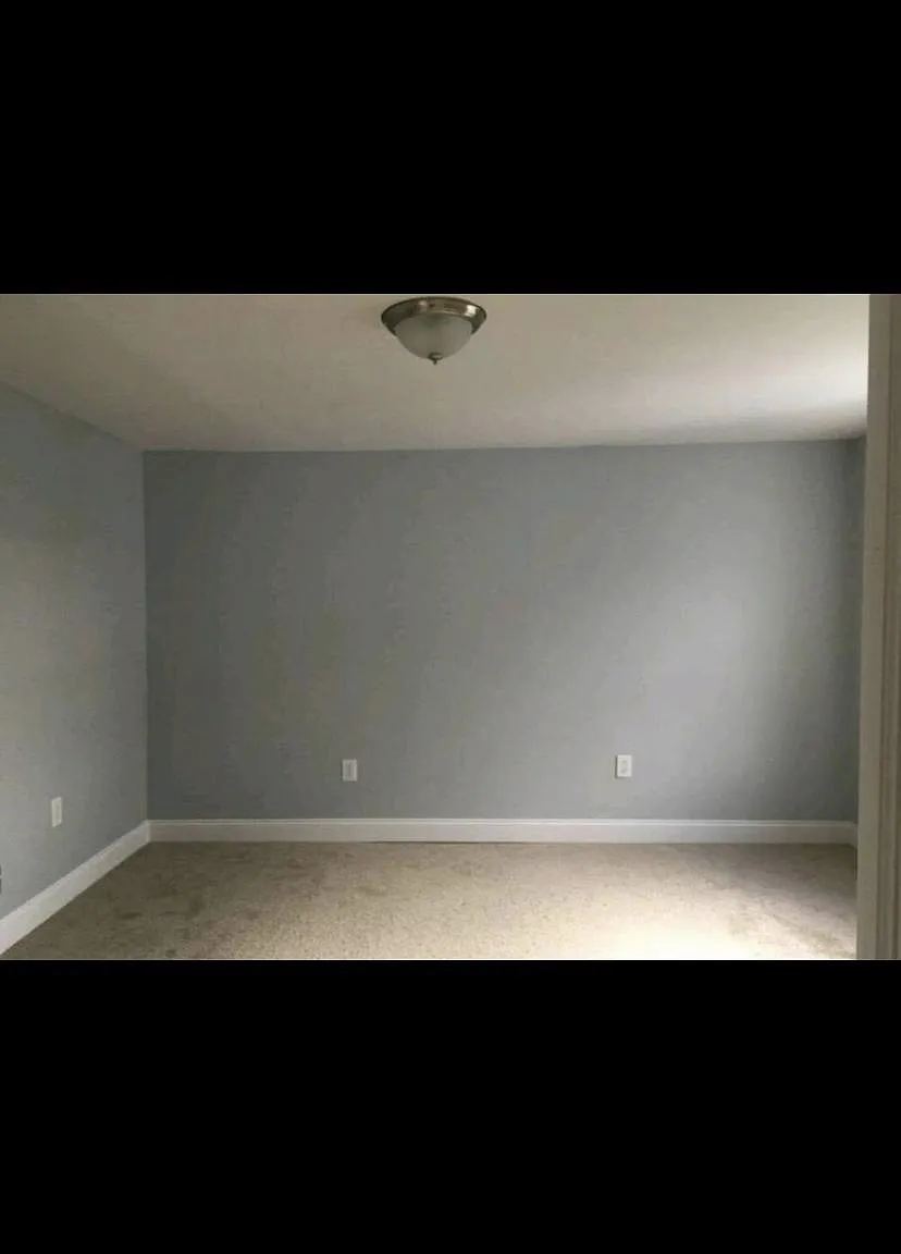 2 bed, 1000 sqft, $1,150 — Photo 4