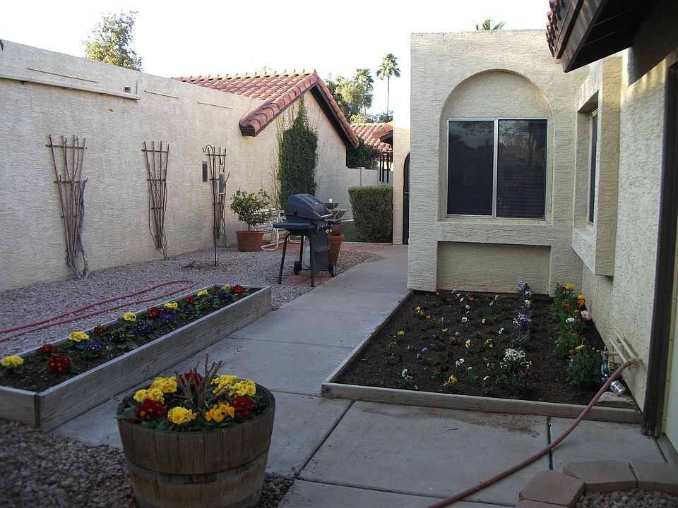 Front yard