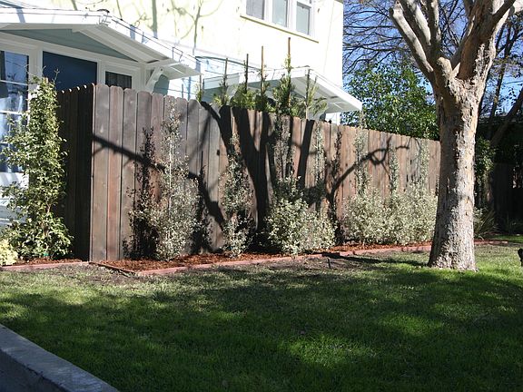 4th image of 999 E Orange Grove Blvd