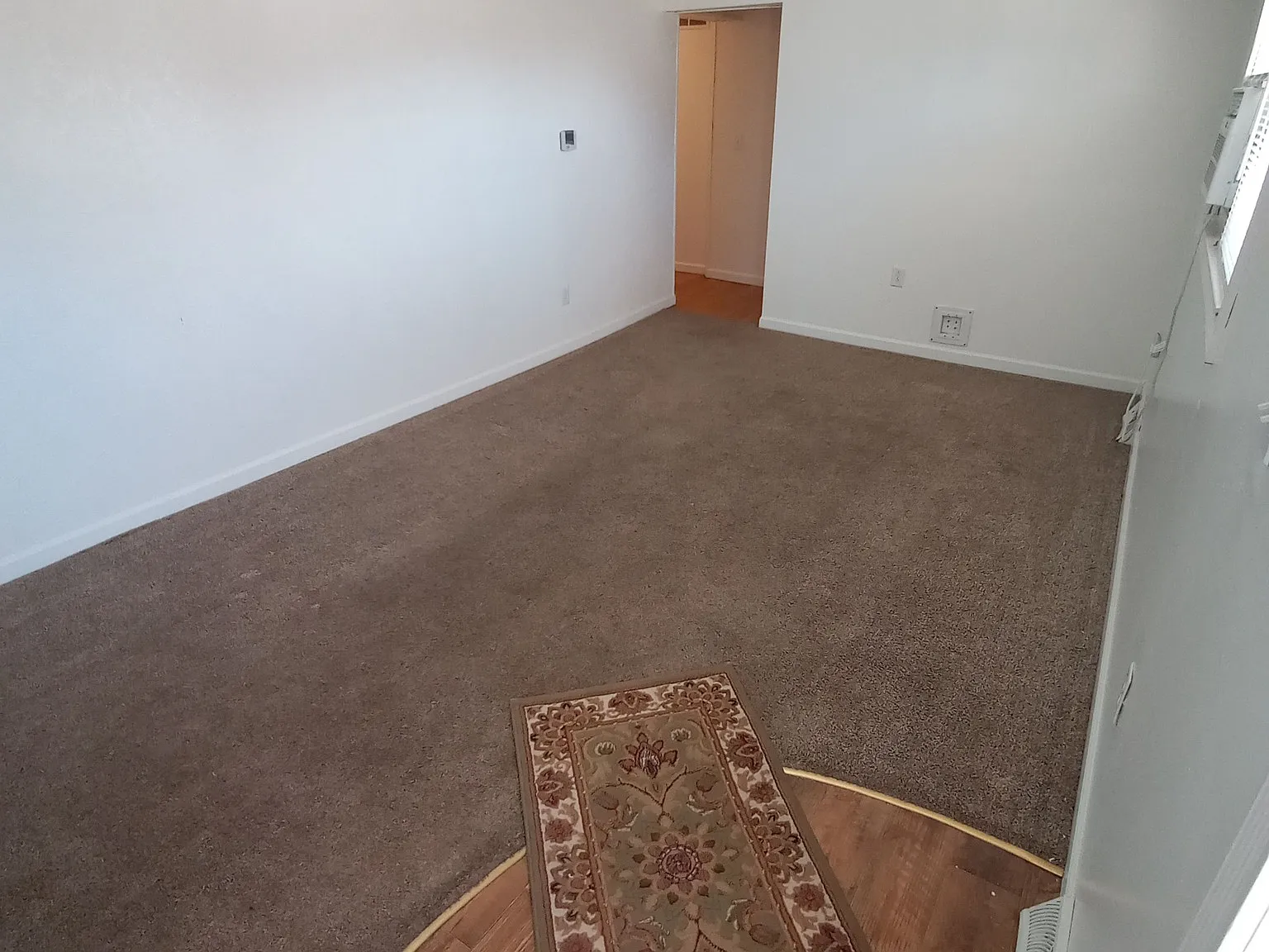 2 bed, $800 — Photo 4