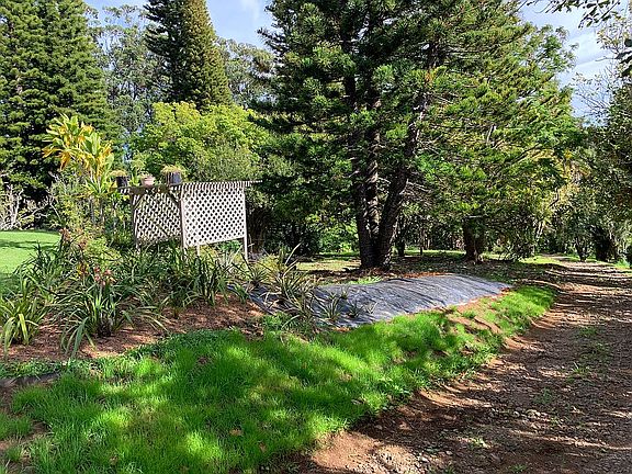 Looking down the driveway