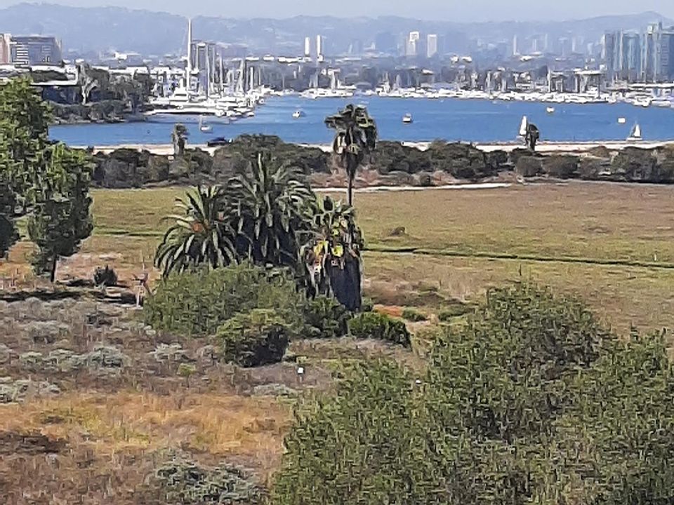 View of Marina Del Rey