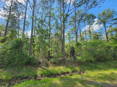10345 Nikolich Ave, Hastings, FL, 32145