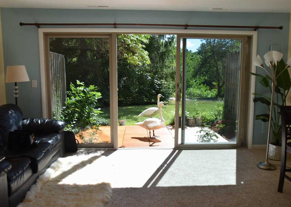 1st image of 682 Peninsula Ct