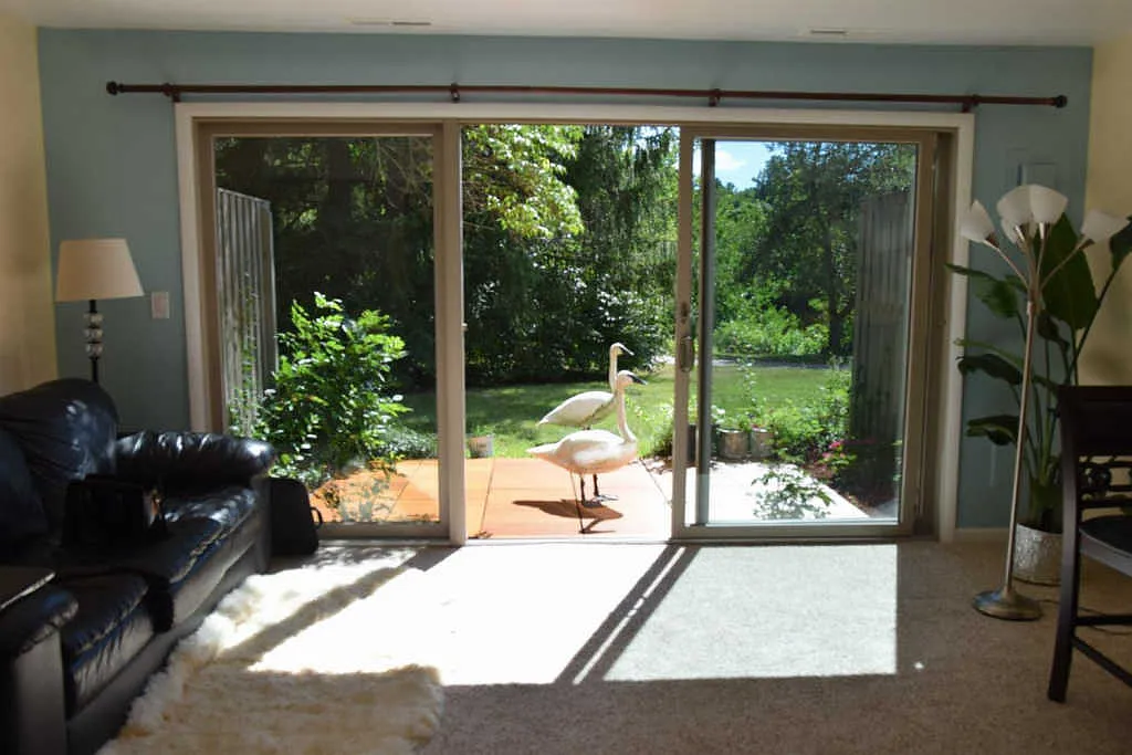 682 Peninsula Ct photo 1