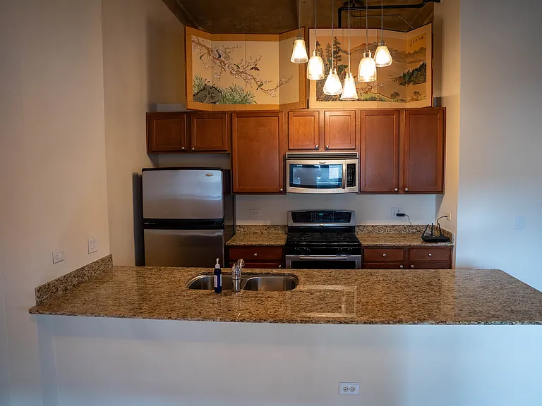 1735 N Paulina St #318 — Photo 14