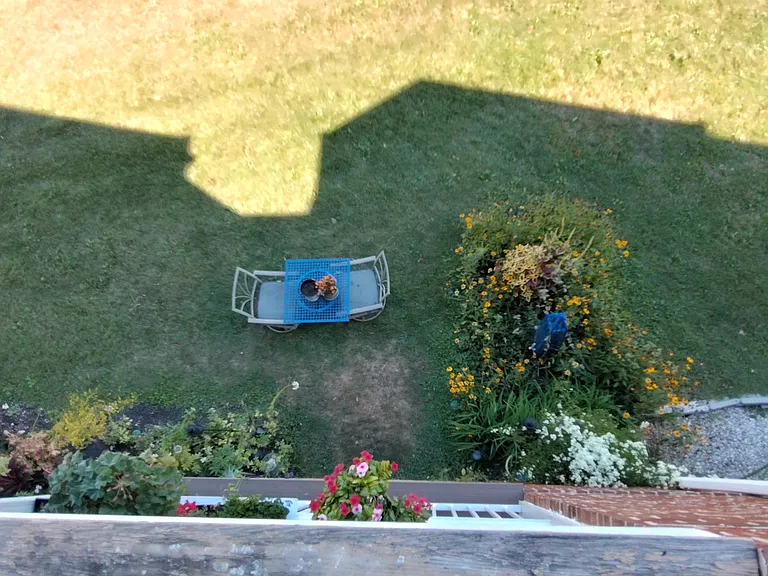 Nice Landscaping
