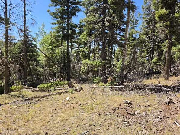 357 vail loop, Angel Fire, NM 87710