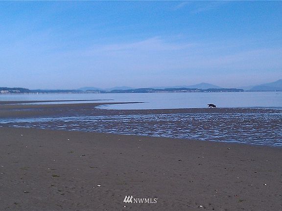 2nd image of 0 36XXX Camano