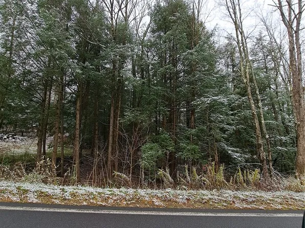 0 County Route 17a Lot 16, Williamstown, NY 13493