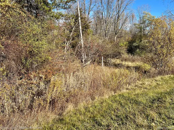 0 Corunna Rd, Swartz Creek, MI 48473