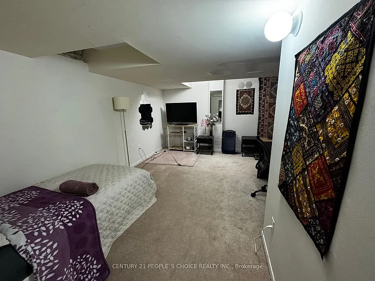 409 Aspendale Cres #BSMNT-ROOM — Photo 4