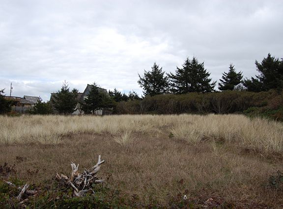 5th image of 544 Ocean Shores Blvd NW