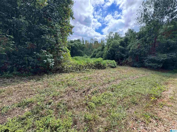0 Robin Ln #0, Delta, AL 36258