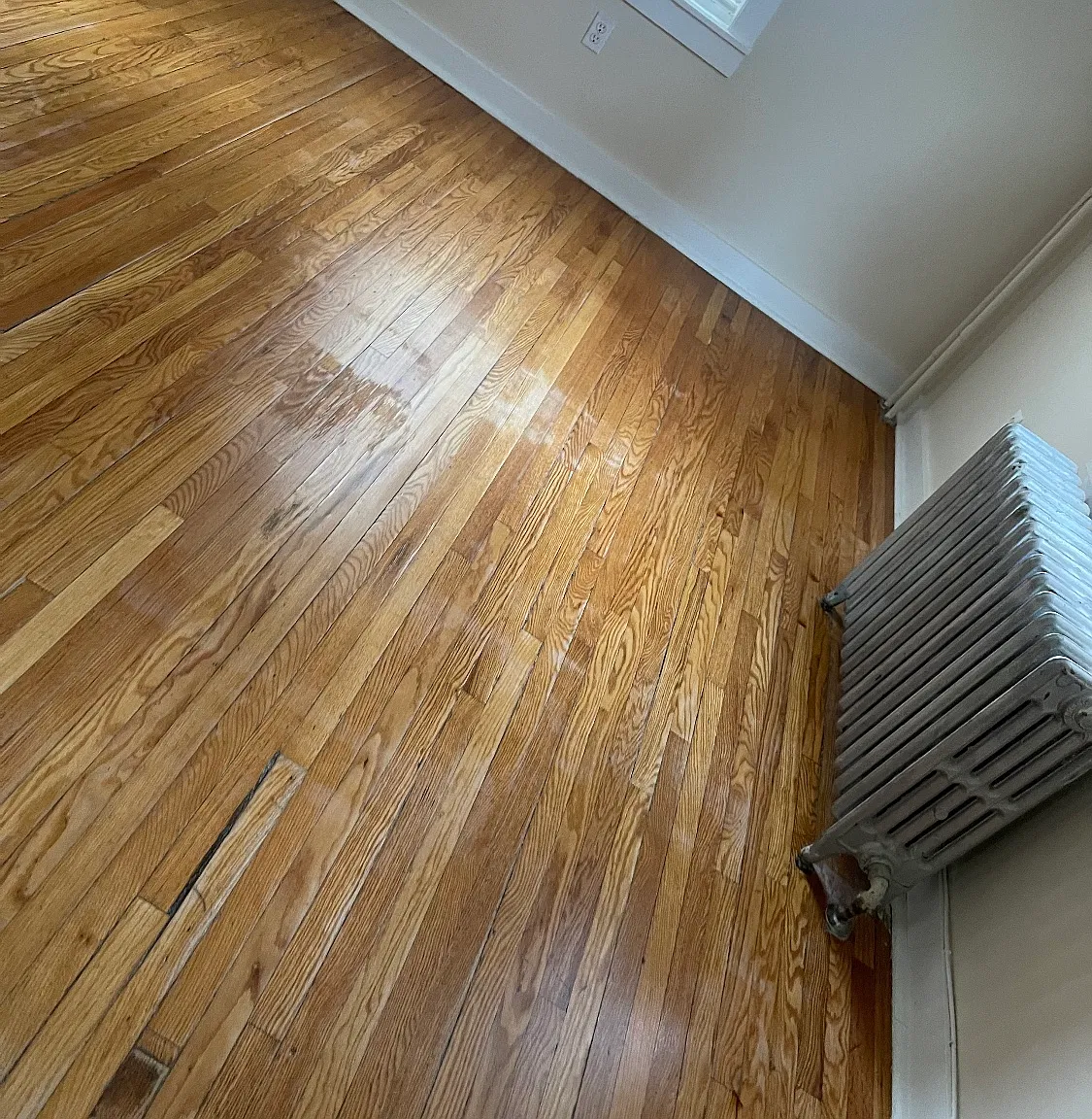 2 bed, 750 sqft, $1,800 — Photo 3