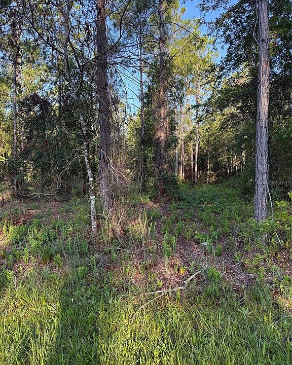 1st image of 2366 DOGWOOD STREET LOT 8
