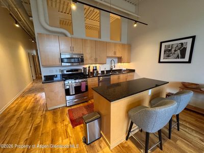 361 Robinson St Unit 232, Basalt, CO, 81621