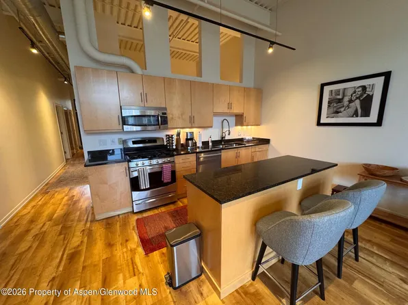 361 Robinson St Unit 232, Basalt, CO 81621