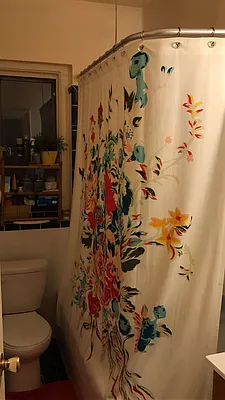 Rented by Lang Realty LLC | media 5