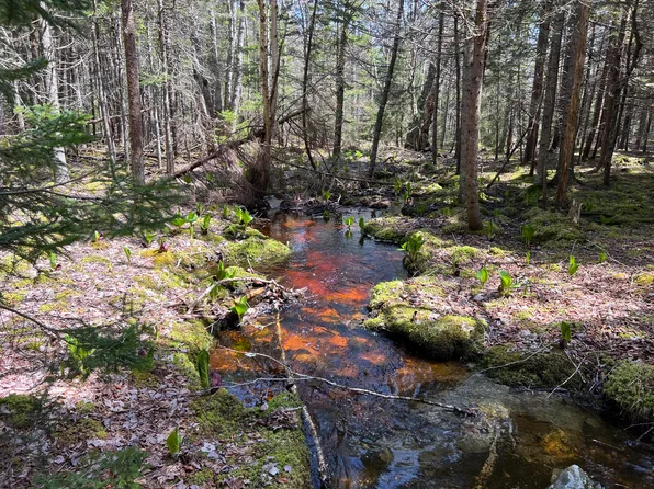 11 freedom Lane, Swans Island, ME 04685