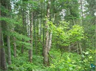 National Forest Rd, Side Lake, MN 55781