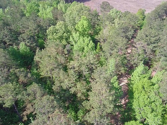 3rd image of New Light Rd