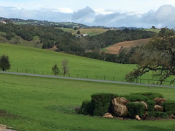 Lot Forage Hay grass seeded