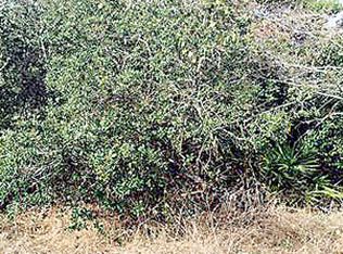 214 Nancy Ave, Panama City Beach, FL 32413