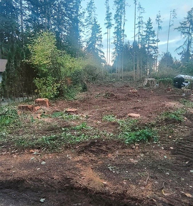 2nd image of 13905 Lakeview Way NW