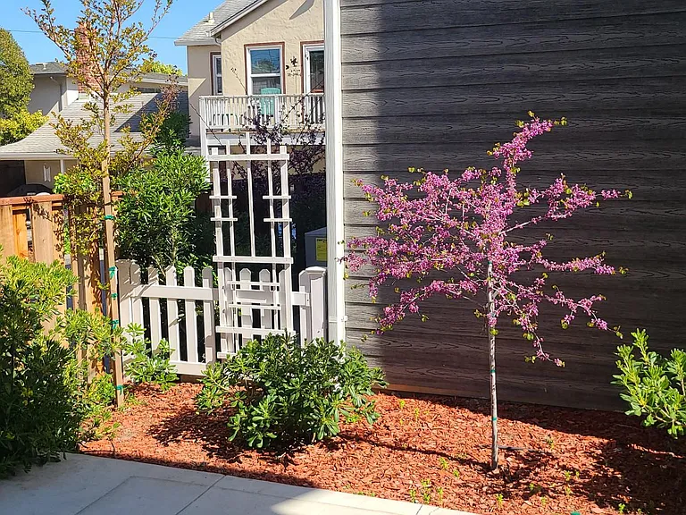 324 Grand Blvd — Photo 25