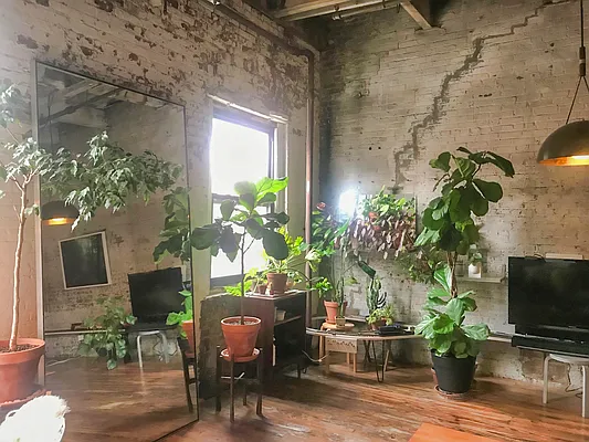Rented by In Haus LLC | media 2