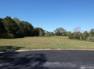 18520 Hannah Michaela Ln, Lutz, FL 33549