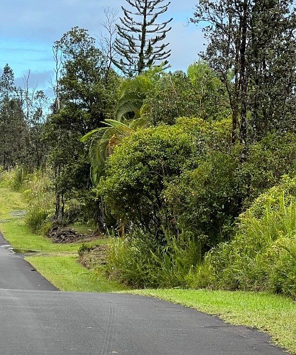 2nd image of Plumeria St Lot 6662