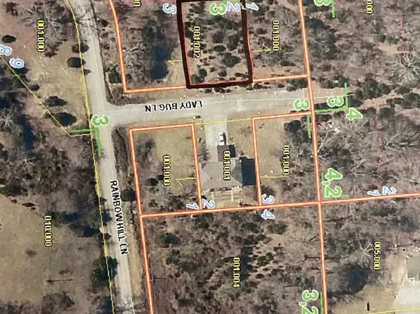 21 Lady-Bug Lane - (Lot 2), Reeds Spring, MO 65737