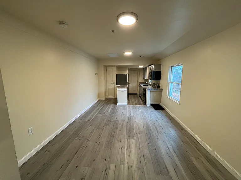 Living room and kitchen
