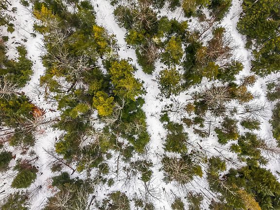 5th image of TBD Woodville Road