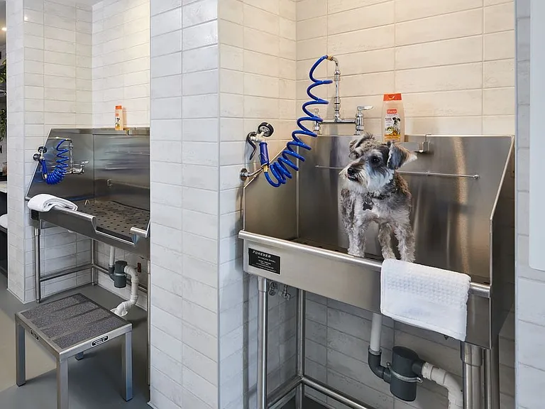 Pet-friendly community with WAG Pet Spa