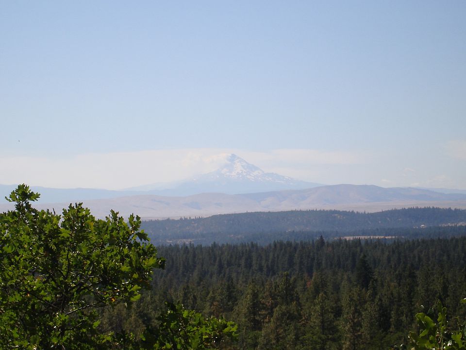 1st image of 20 Acre #Piney