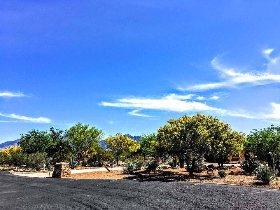 Entrance Driveway