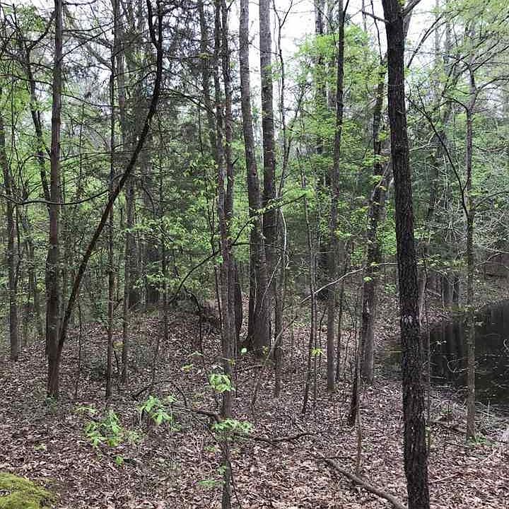 1st image of 255 County Road 3265
