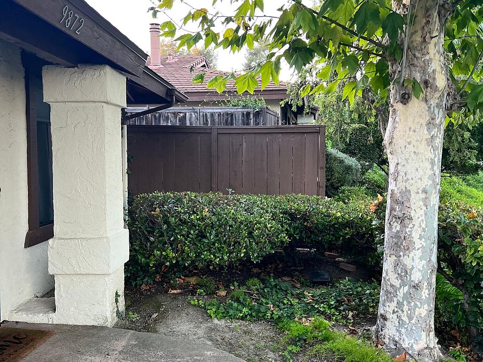 Front Walkway