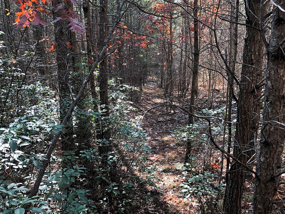 2nd image of Tract G Lignite Rd
